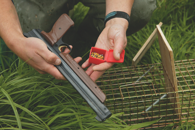 air pistol
