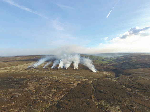 heather burning