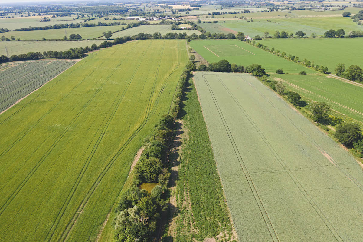 Farmers demand ‘major overhaul’ of SFS plans