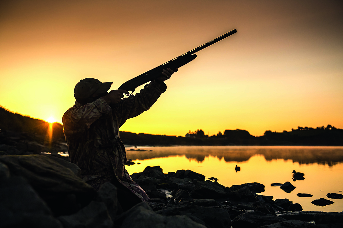Burning questions about the end of lead shot