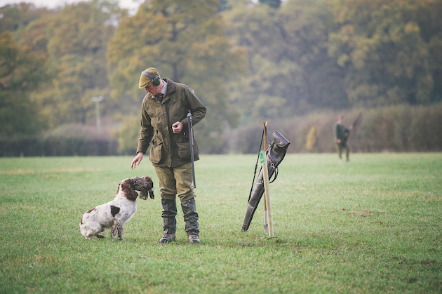 Professional gundog training &#8211; when is it best to leave it to the experts?