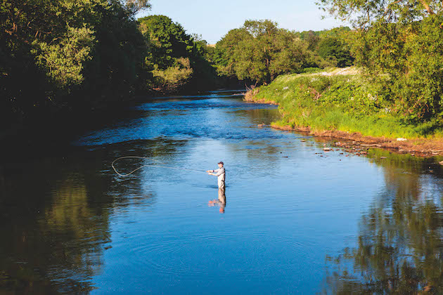salmon fishing