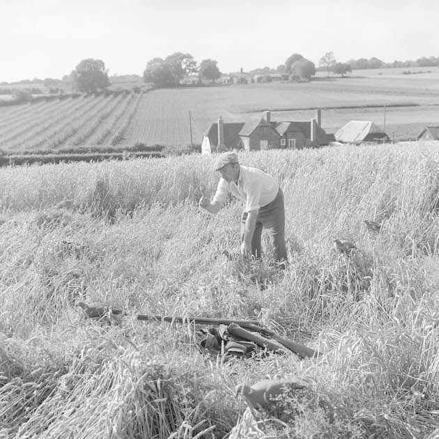 farmland 