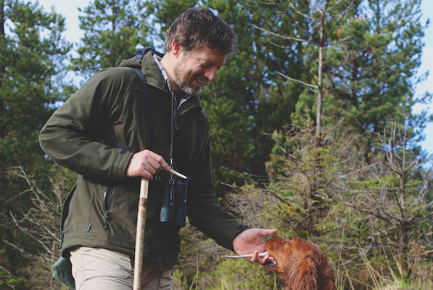 Finding antlers 