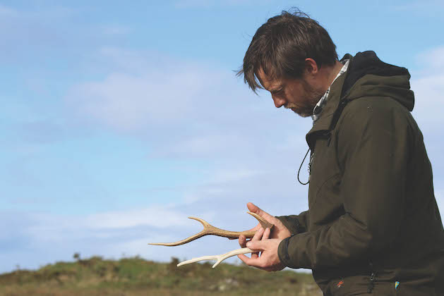 collecting deer antlers