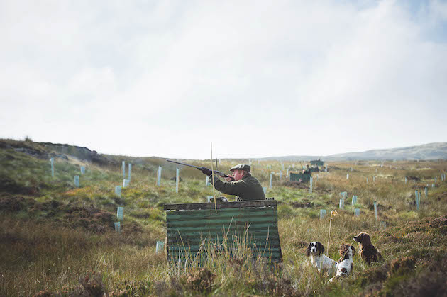 Grouse shooting: efforts to pressure companies into abandoning the sport prove unsuccessful