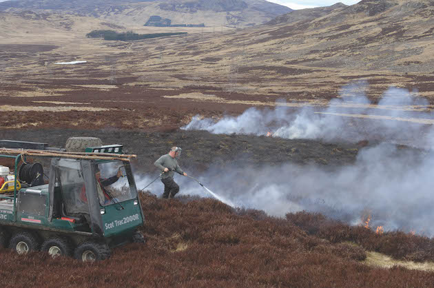 grouse moors
