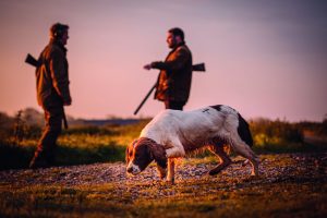 Two-dog law comes into force