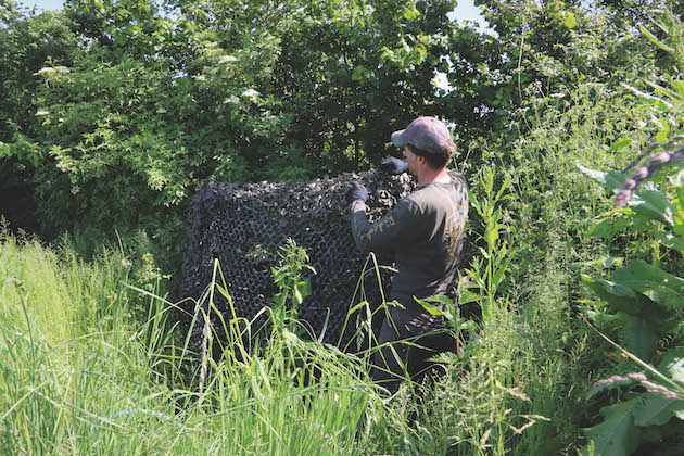 quiet air rifle for pest control from a hide 