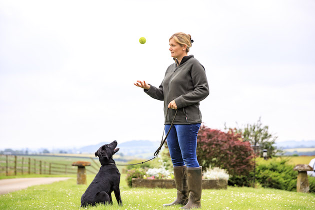 Setting rules for working dogs starts from day one