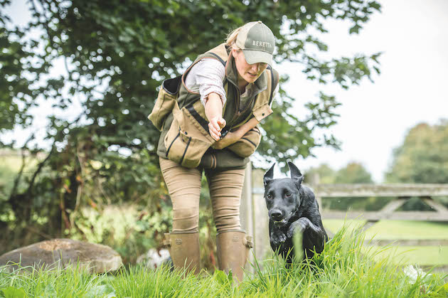 How to find the right gundog trainer