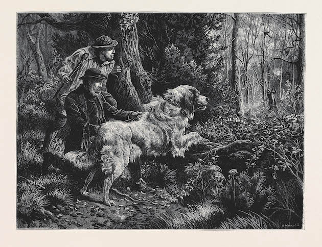 catching a poacher