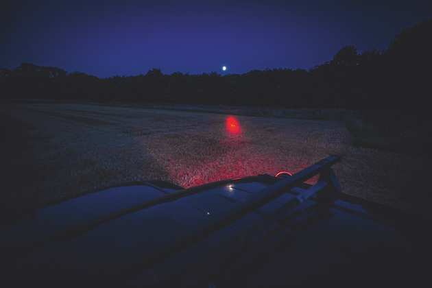night foxing 