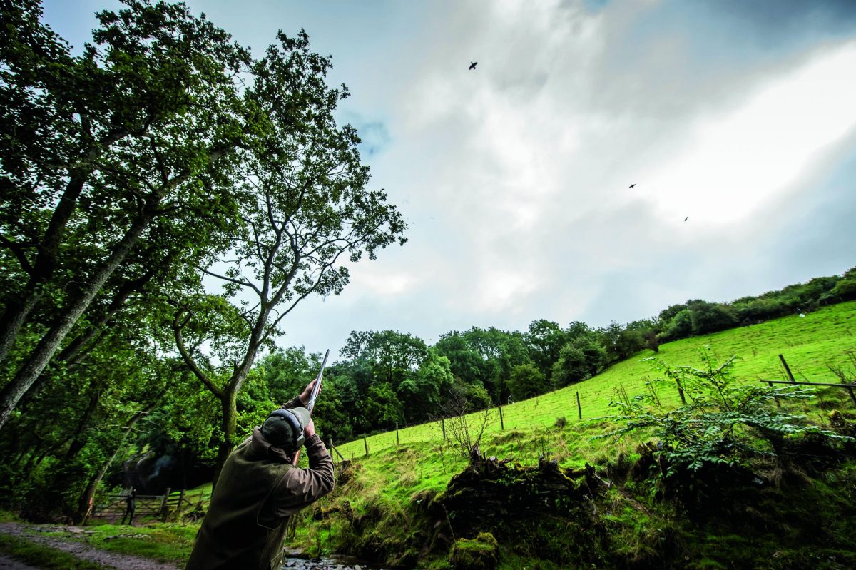 Many of the UK&#8217;s favourite game species aren&#8217;t native