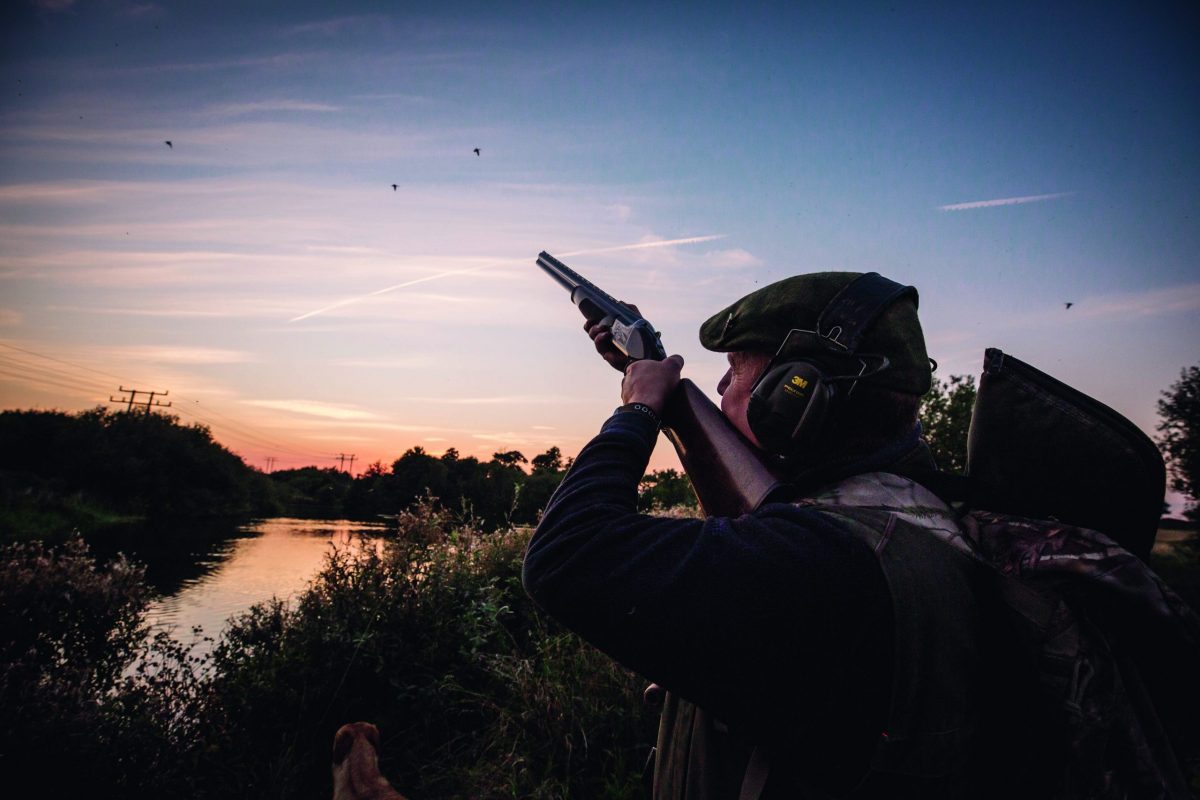 How to get the most out of driven ducks