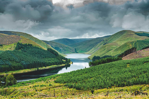 Rewilding in Scotland