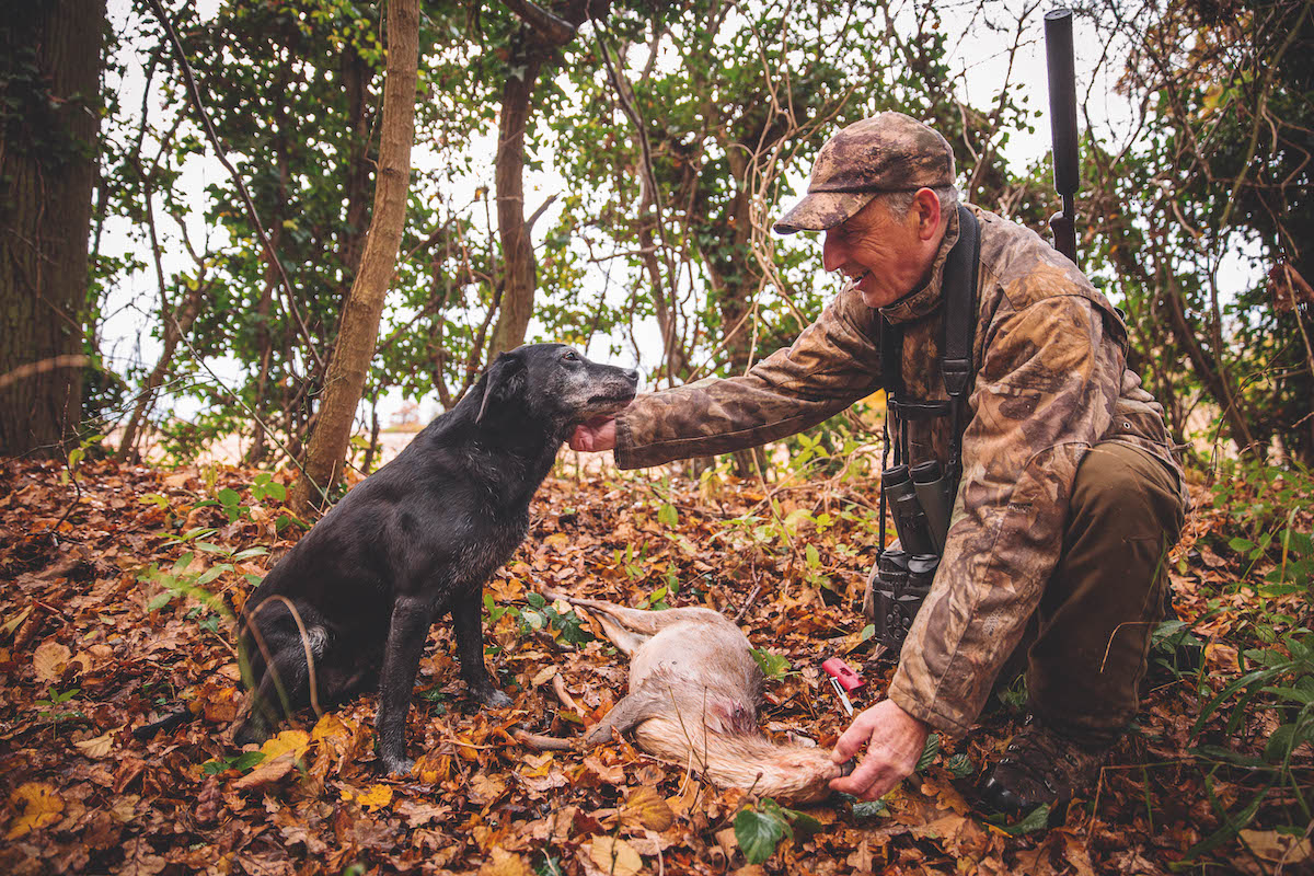 When is the right time to say goodbye to your dog?