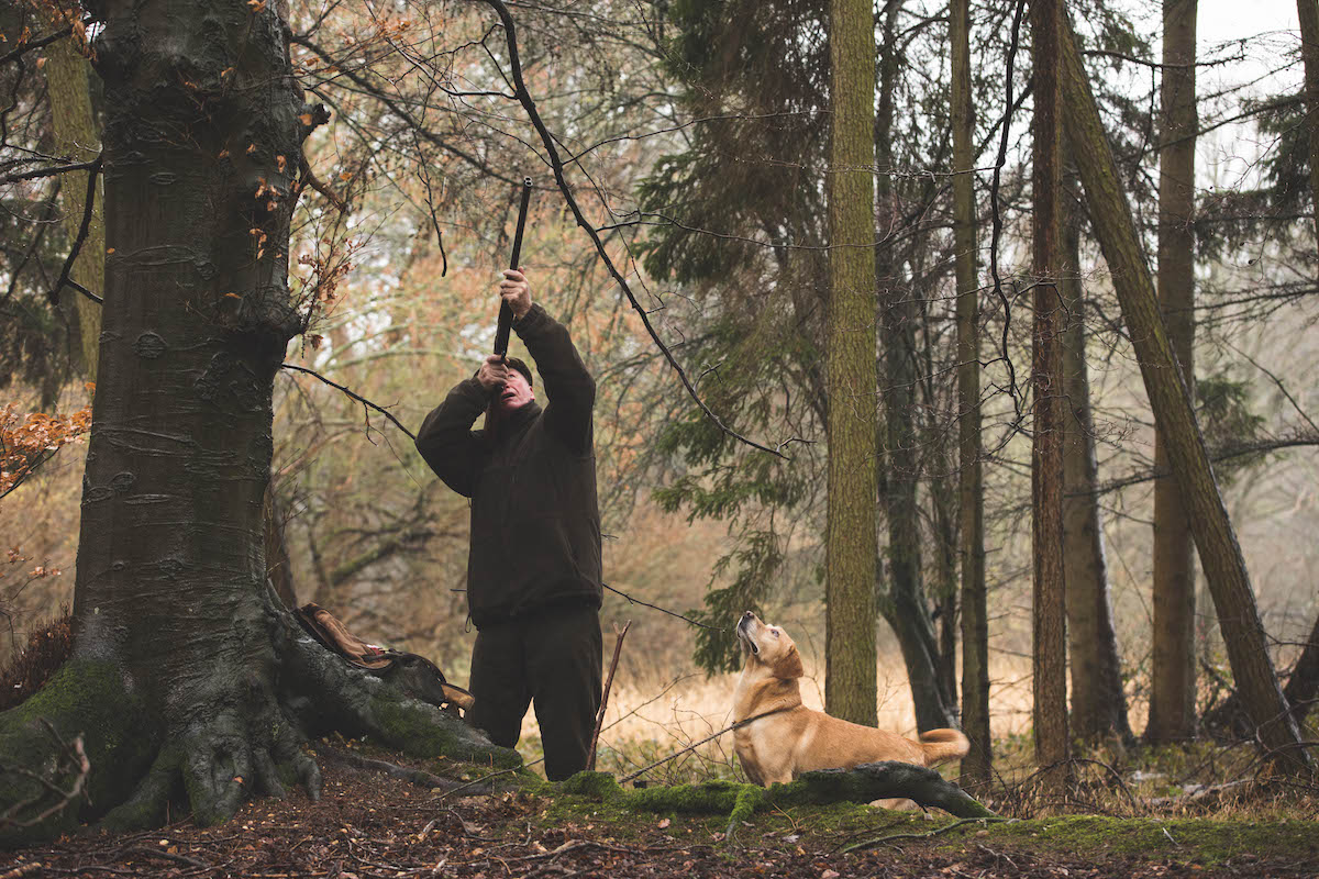 Guns under £1000 &#8211; here&#8217;s what is worth a look