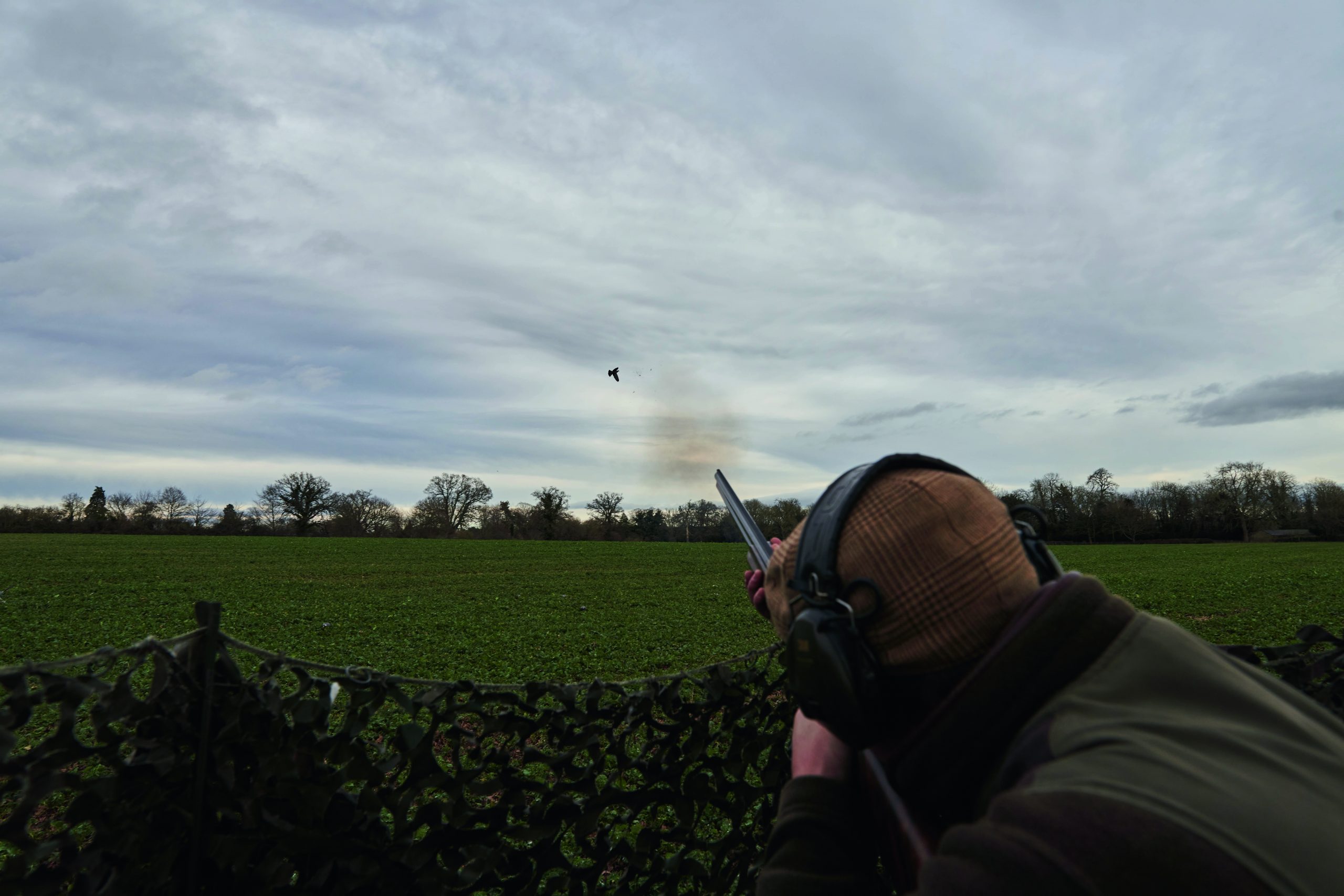 Winter pigeon shooting