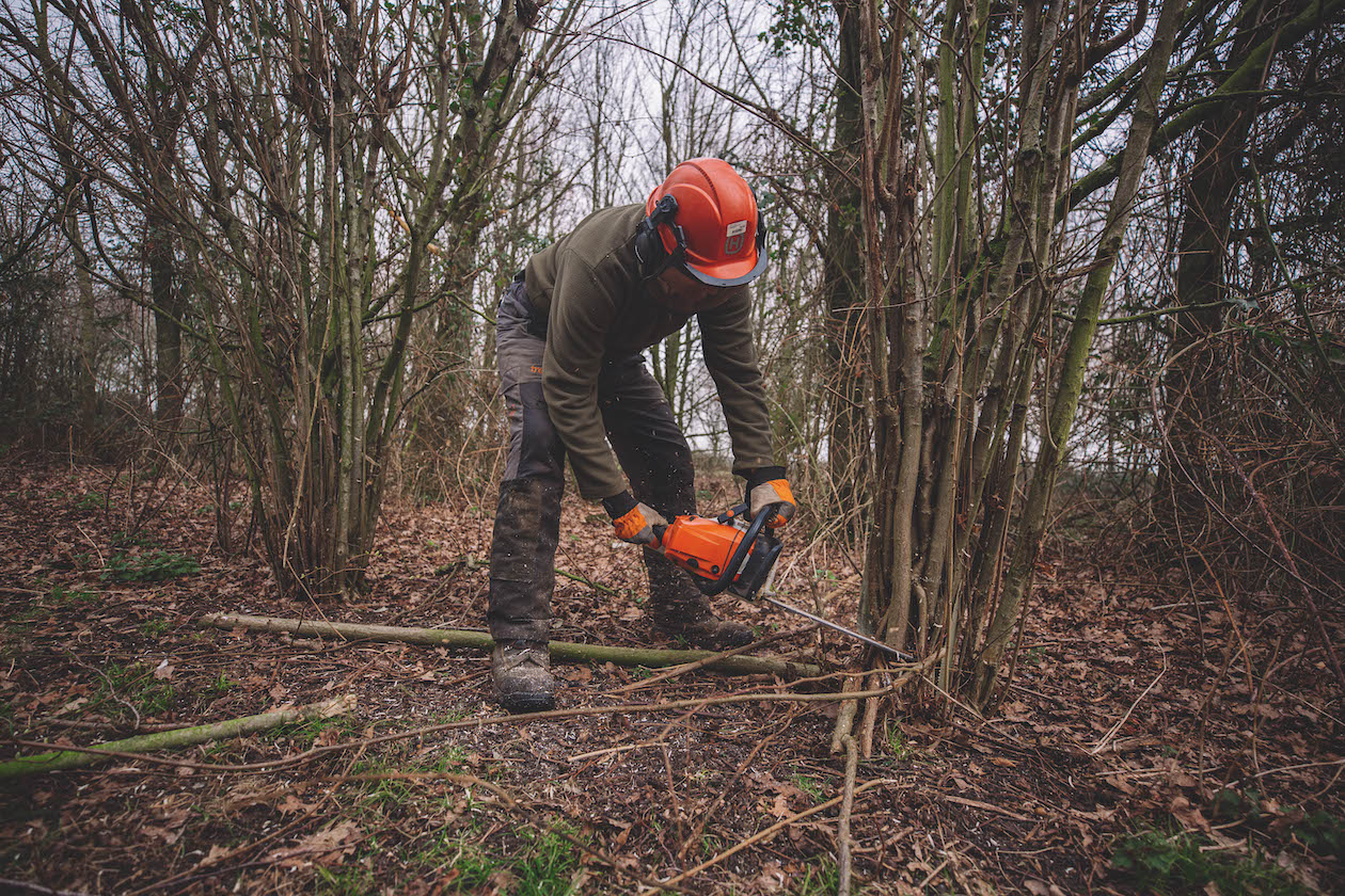 How to create an ideal pheasant drive