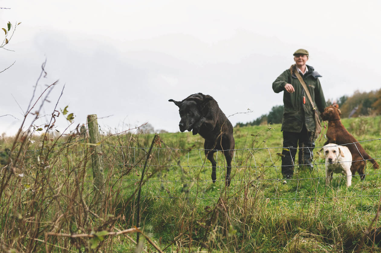 Working dog hazards to watch out for in the field