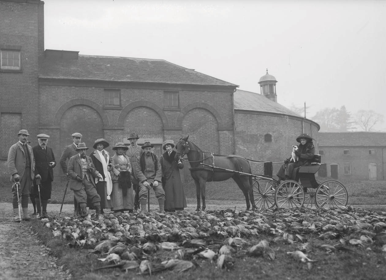 Edwardian big bags in shooting 