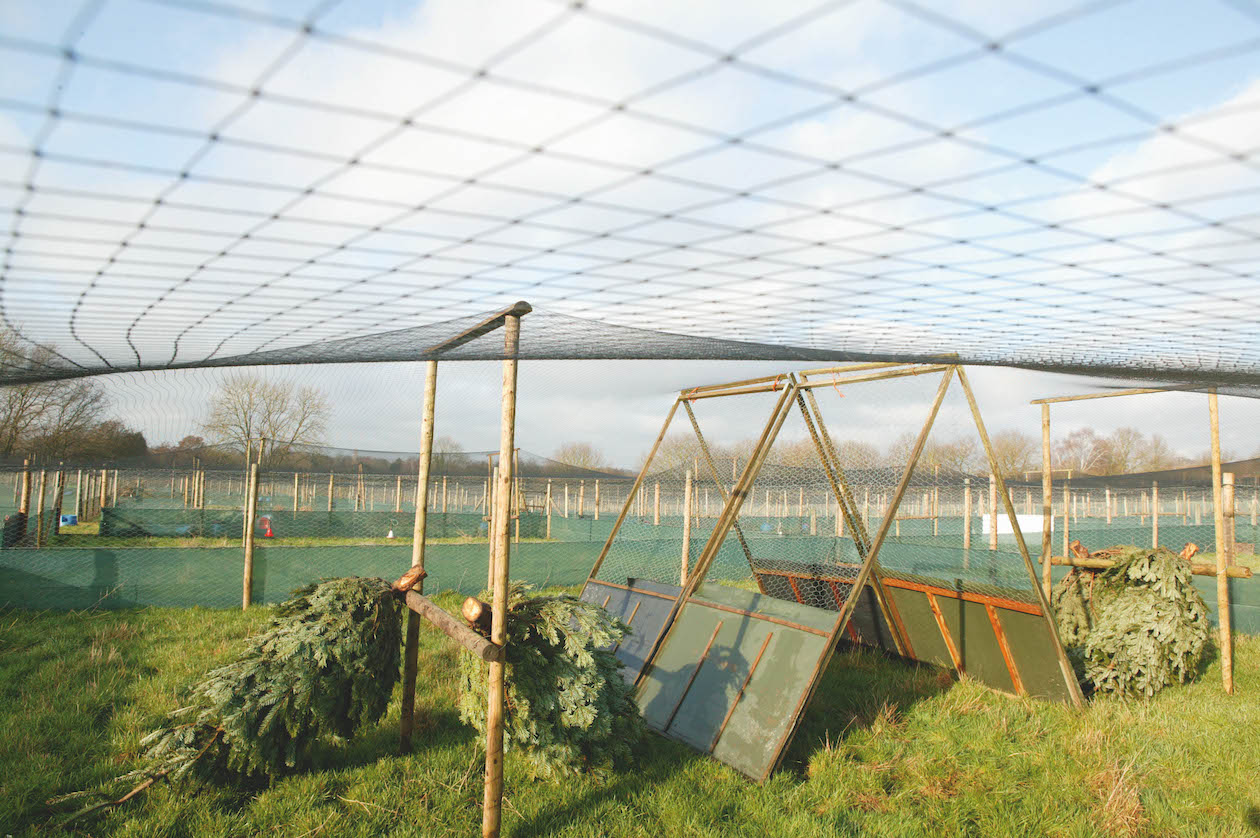Experts slam Labour Party Animal Welfare Society&#8217;s report on release of gamebirds
