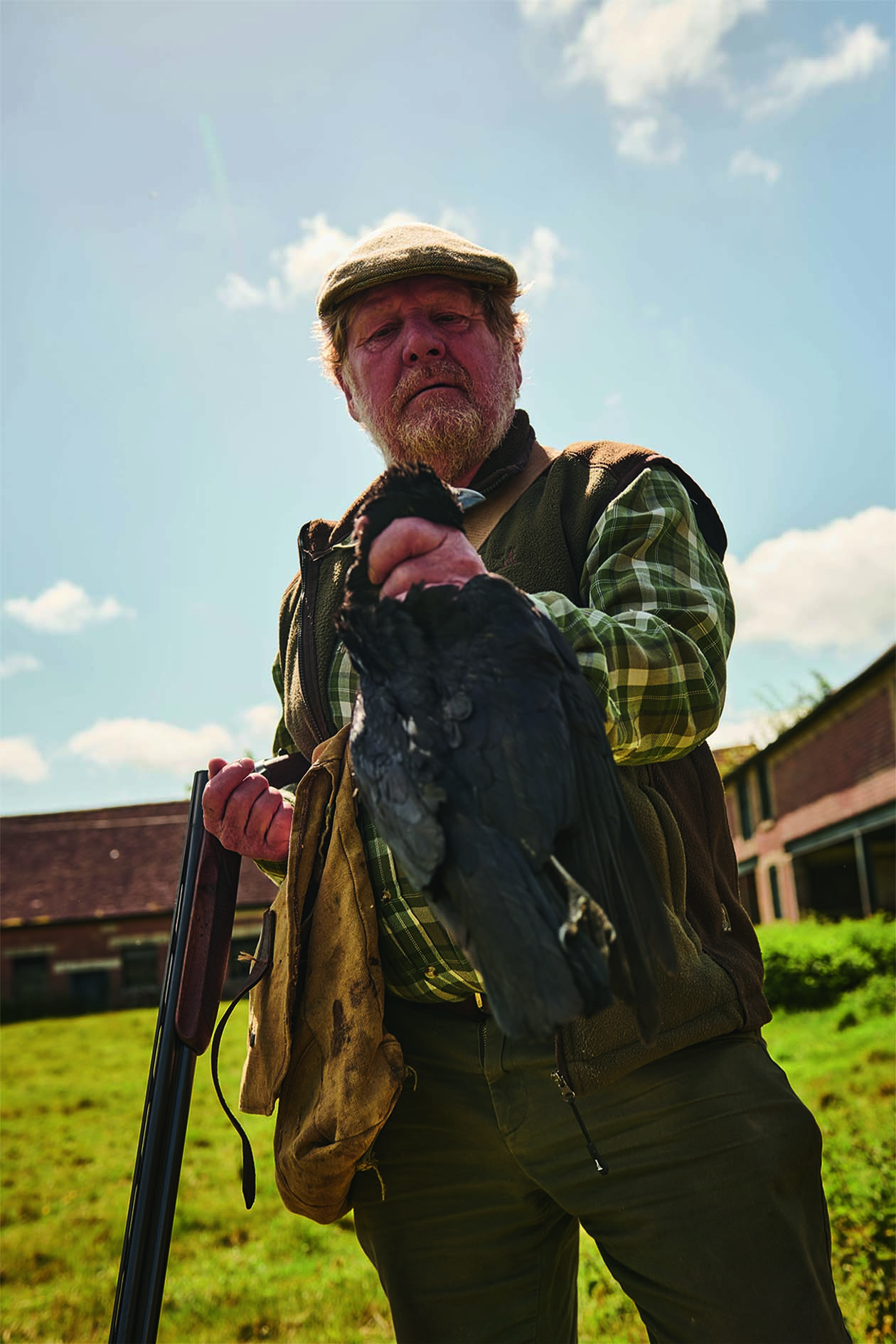 shooting corvids 