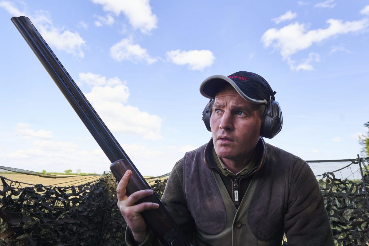 Early season pigeon shooting &#8211; how to get the most out of it