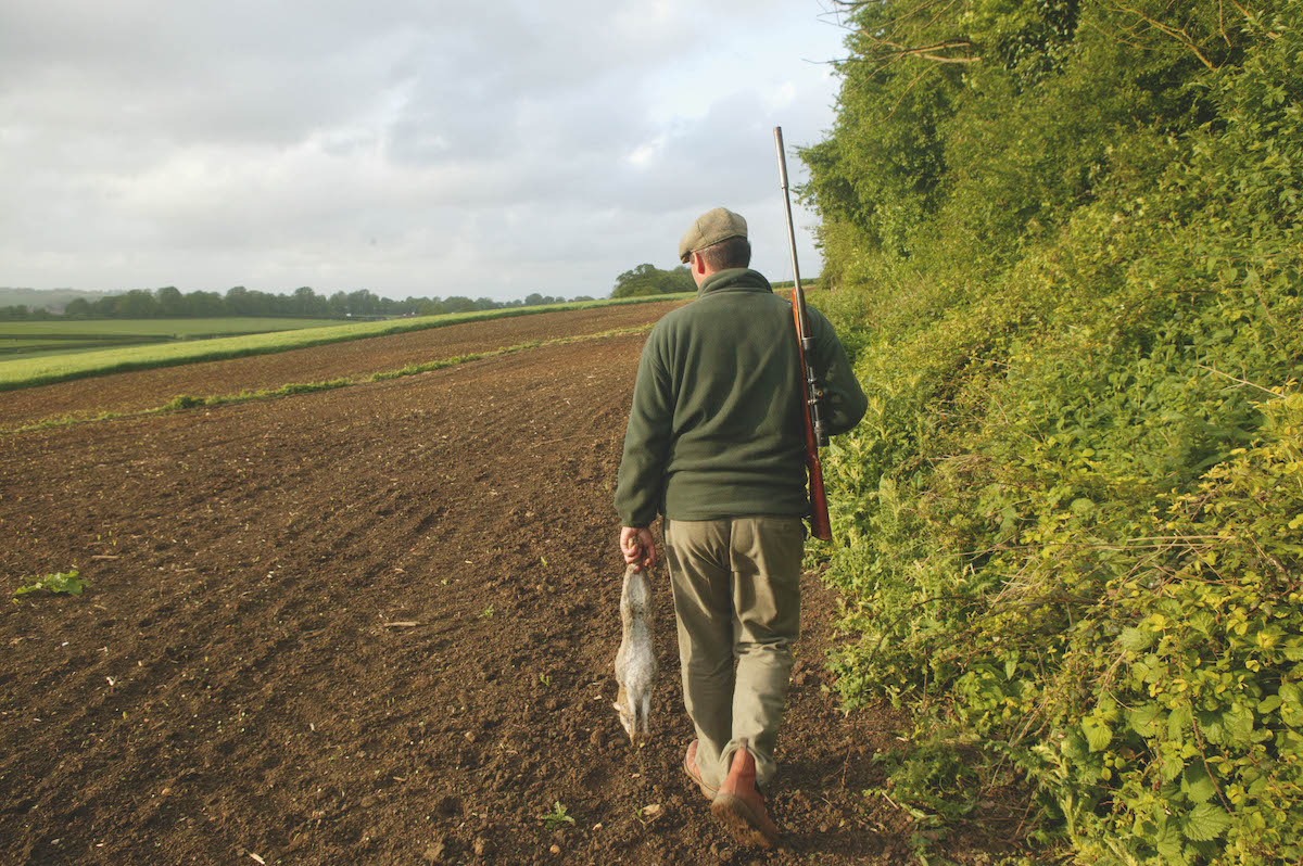 Which are the best cartridges for rabbits?