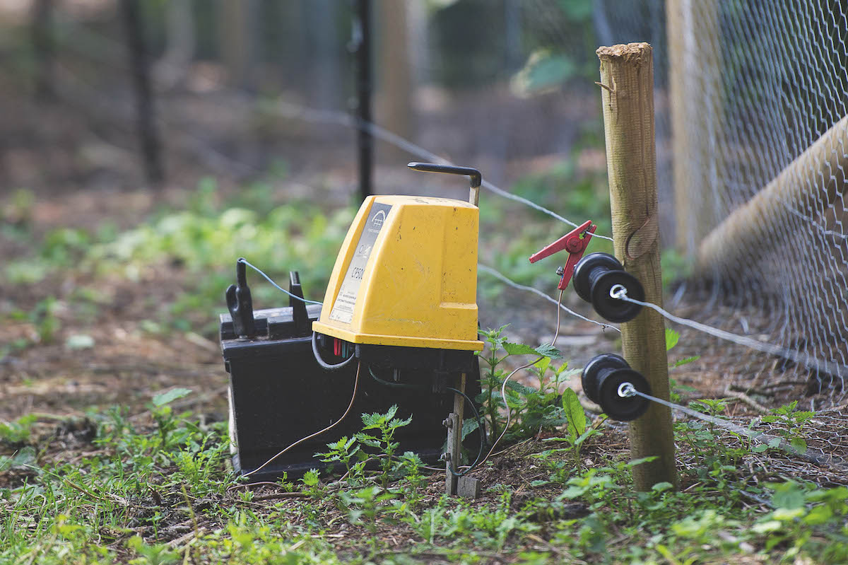 Electric fence perimeter of game pens