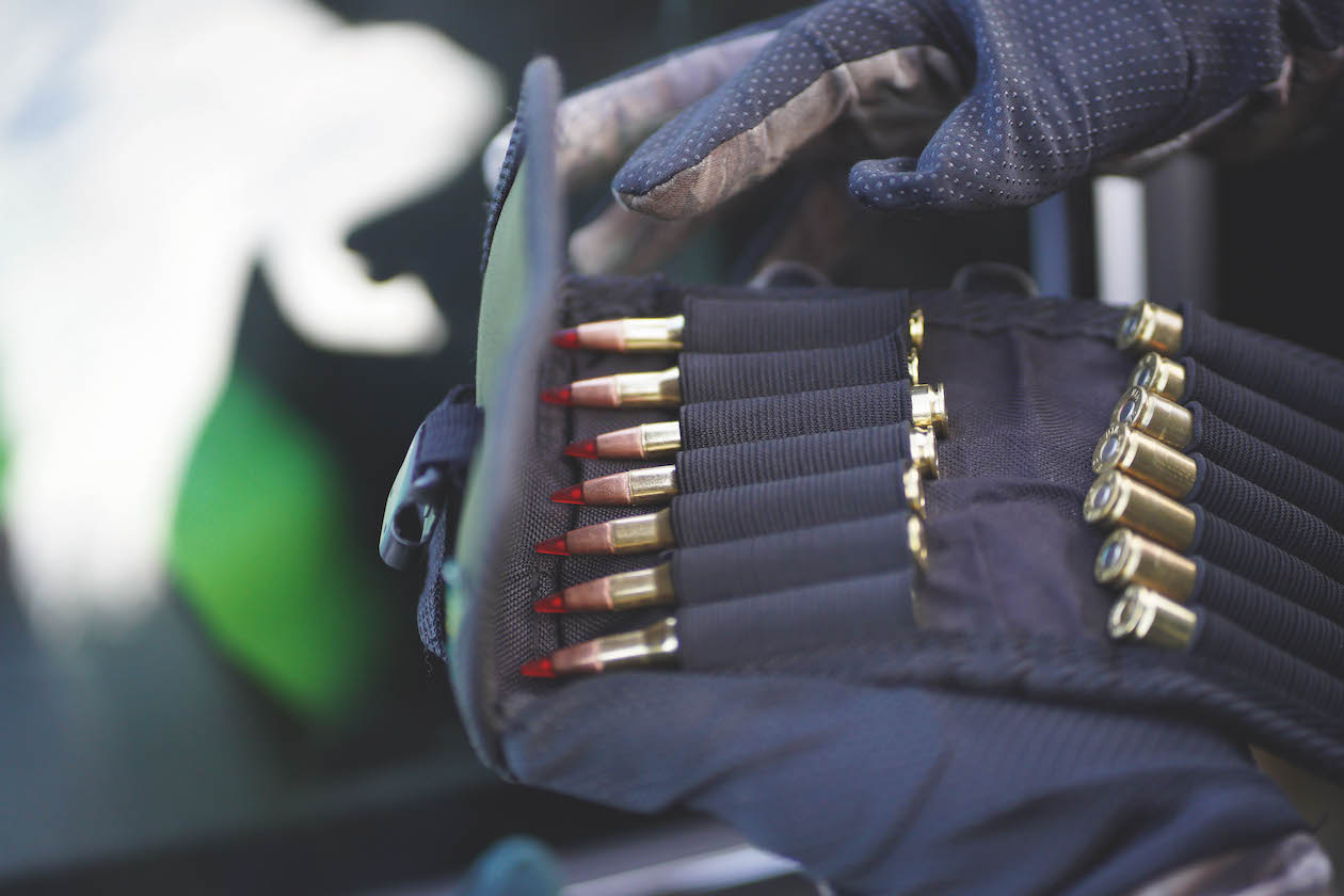 deer ammunition 