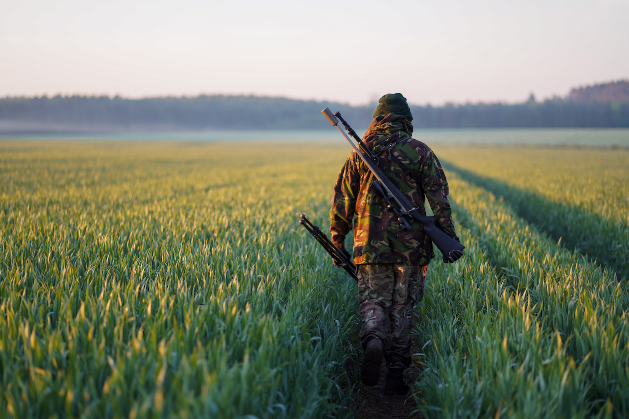 Deer stalking