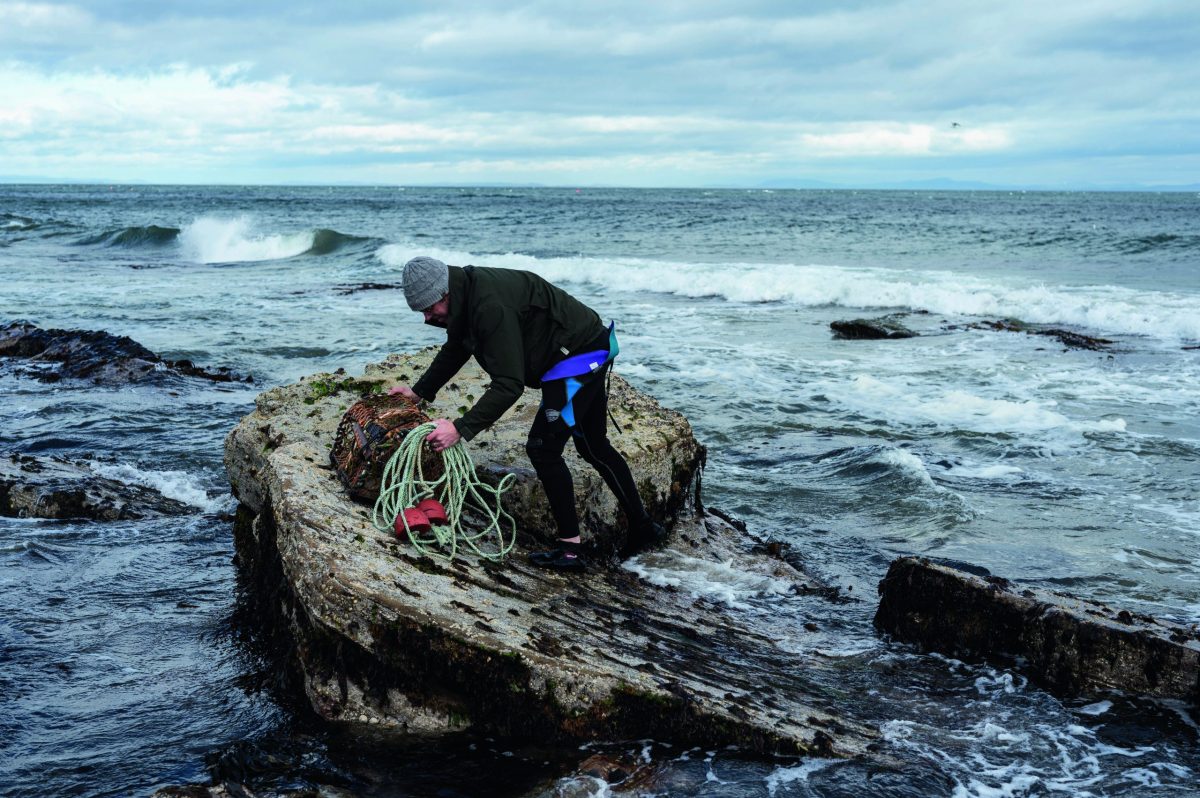Foraging for shellfish &#8211; why it&#8217;s worth the effort