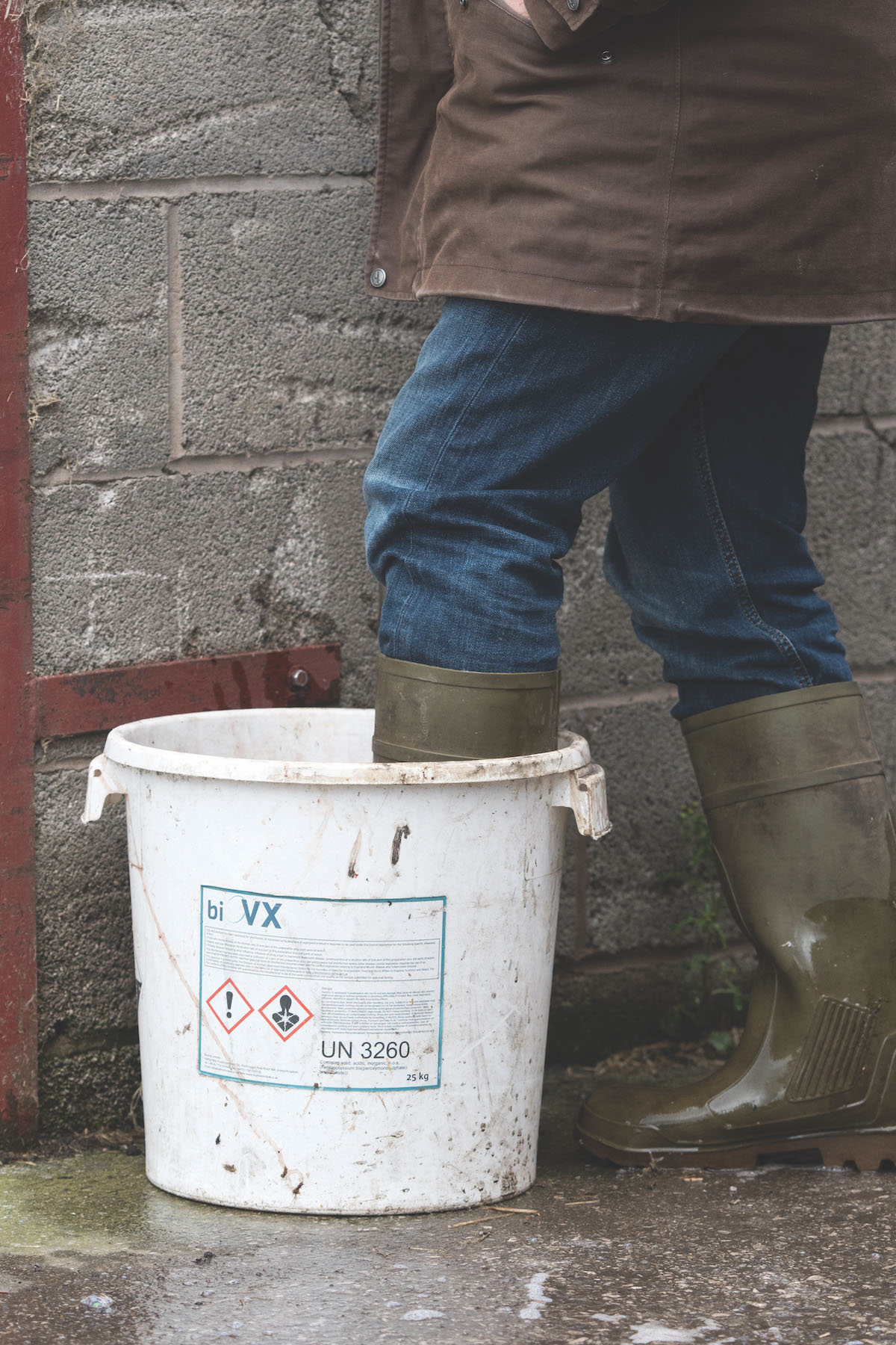 Dipping boots in disinfectant