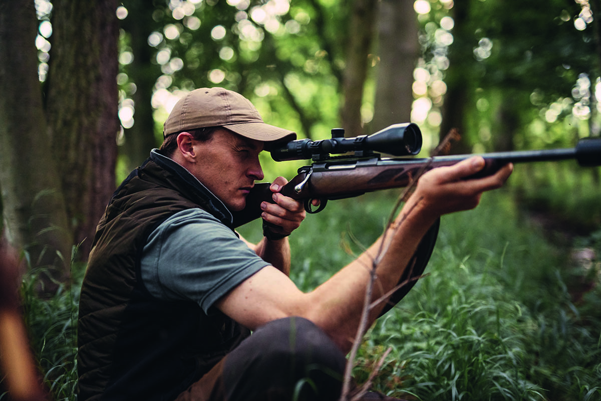 The challenge of midsummer muntjac stalking