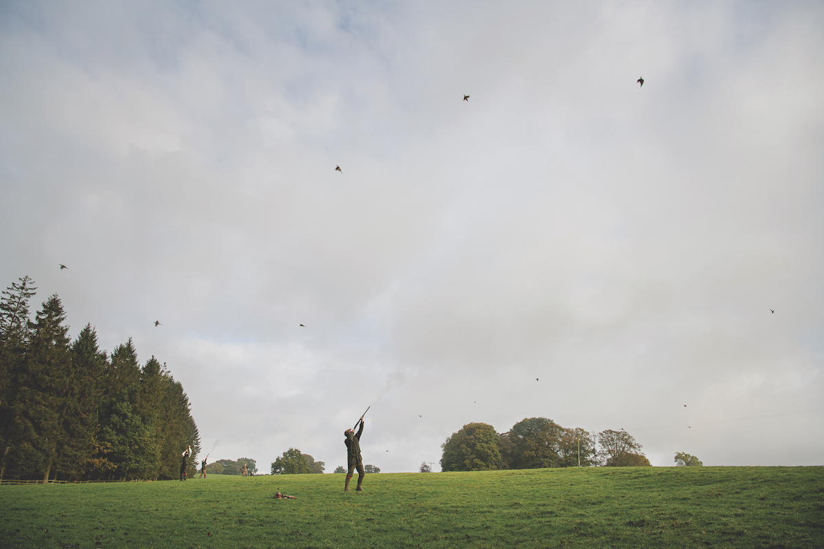 Why shoots will weather the current storm