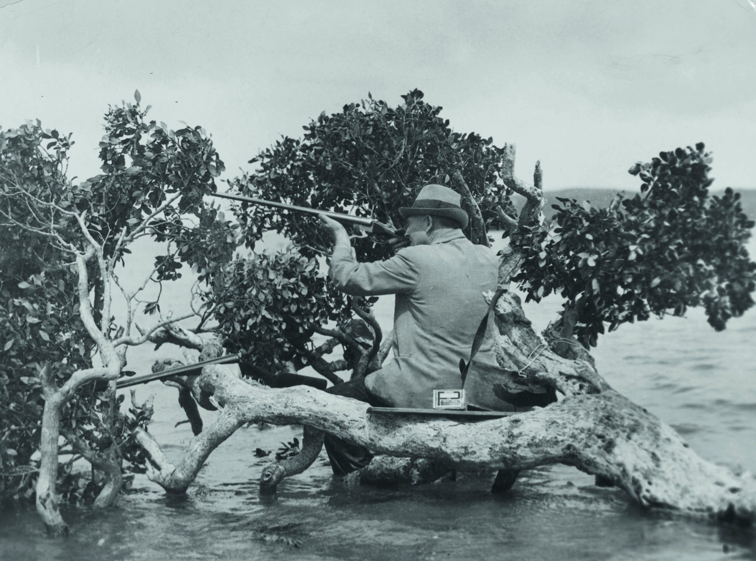 History of gamekeeping &#8211; how have our quarry species changed?