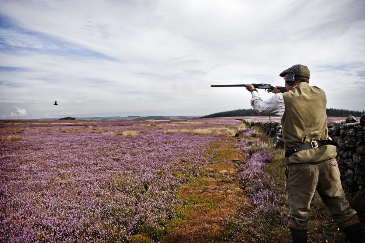 Muted response to Glorious Twelfth, according to reports