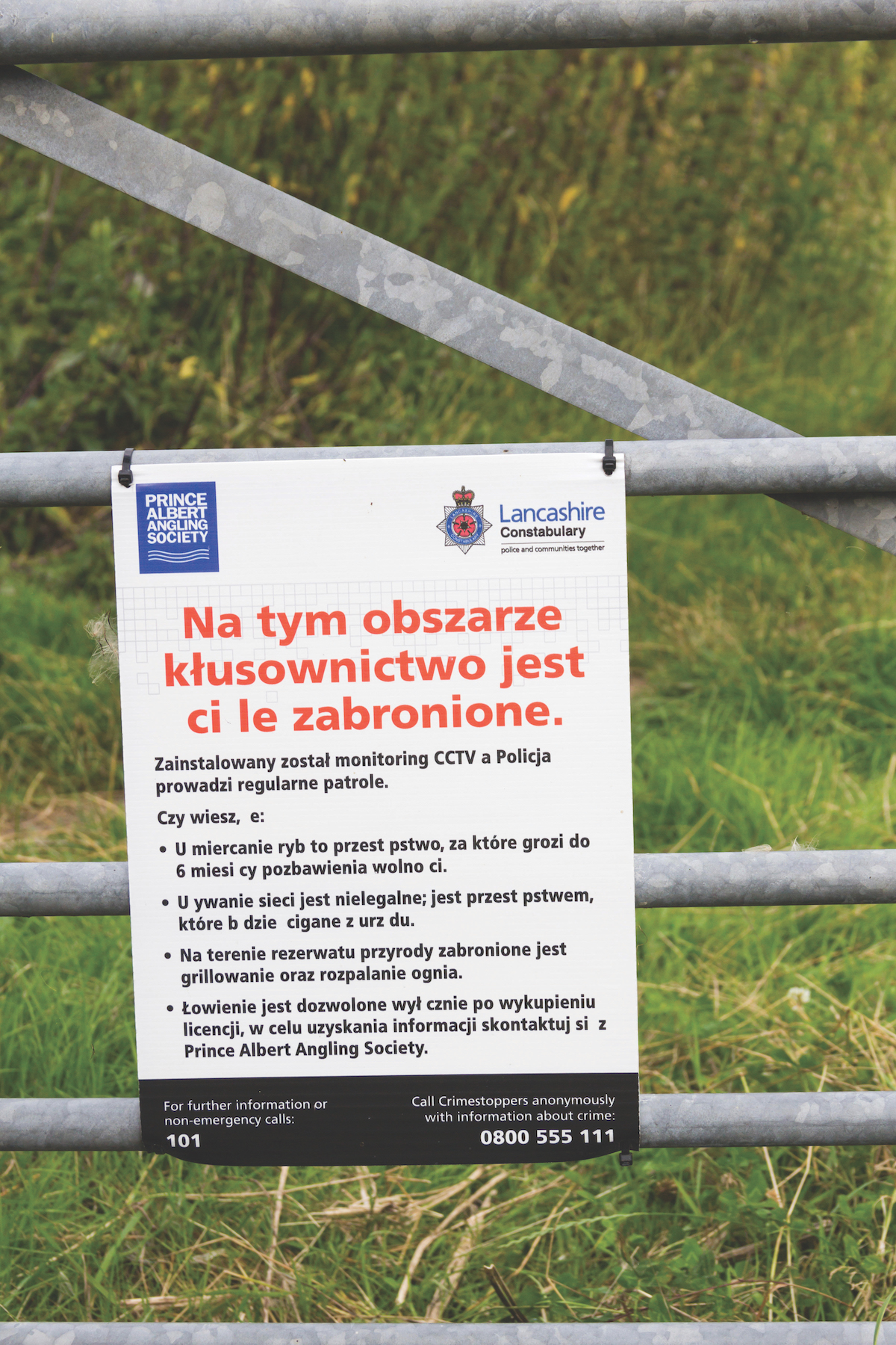 sign in polish