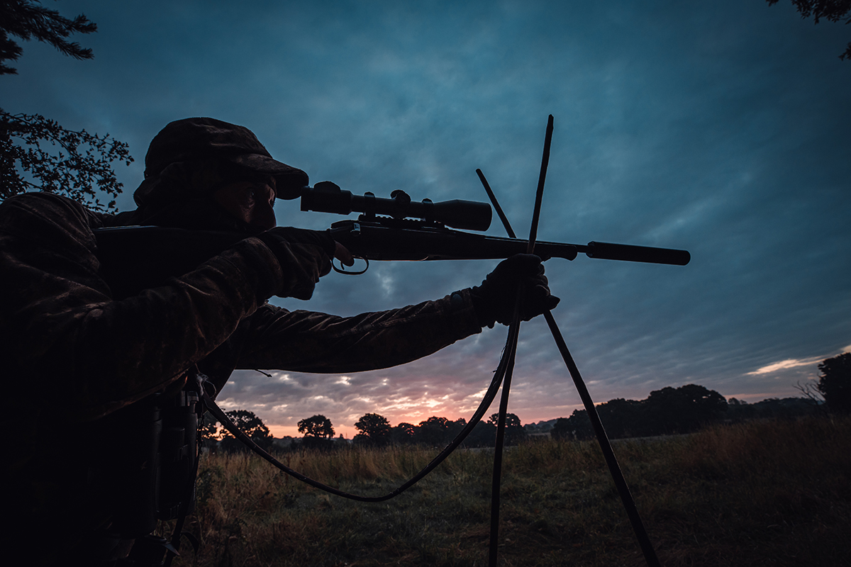 Woodland stalking for roe deer