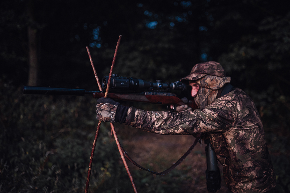 roe deer