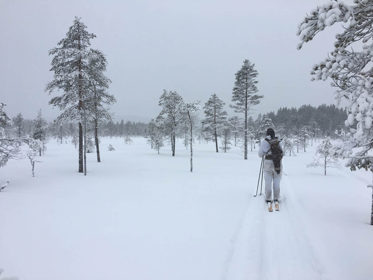 Skiing in white