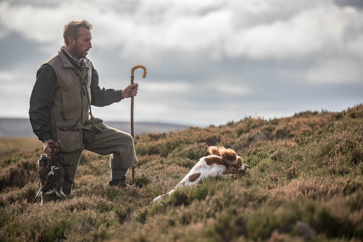 Keeper and spaniel on moor