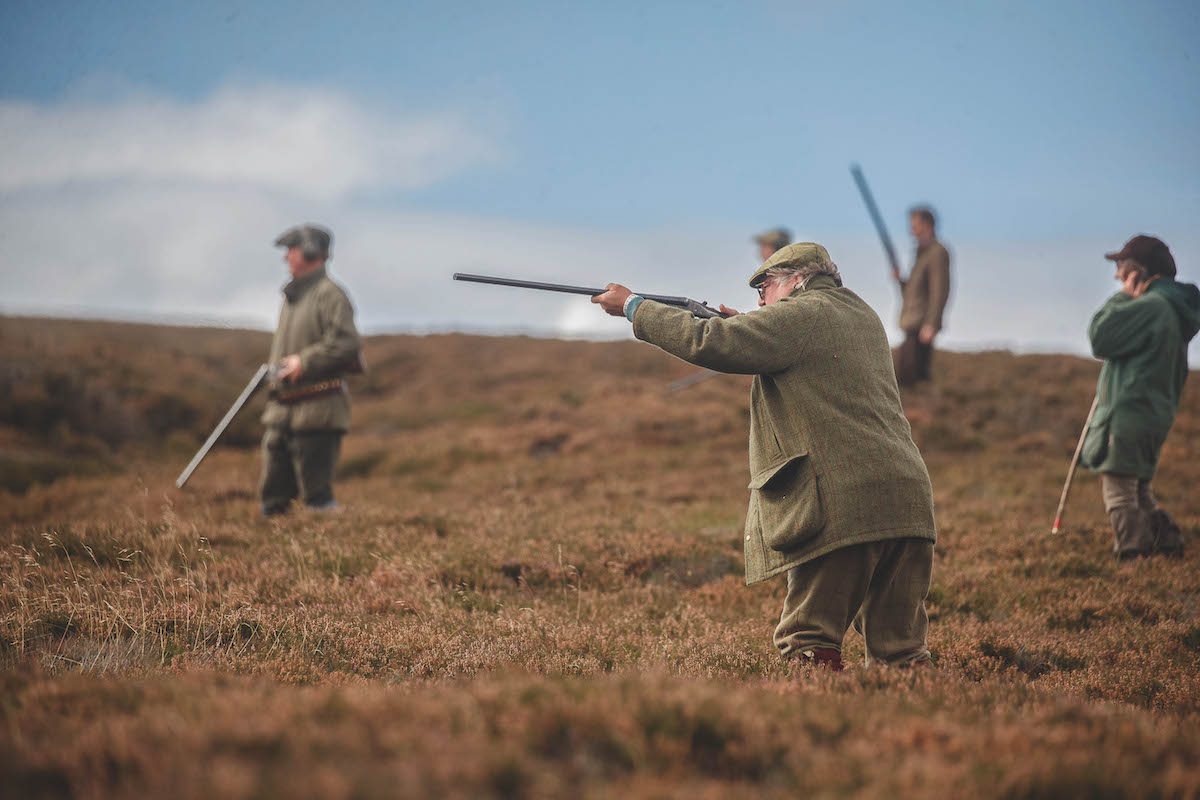 walked-up grouse day