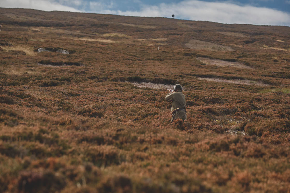 walked-up grouse day