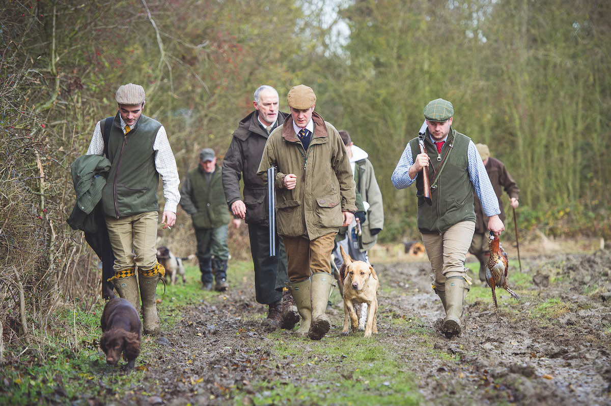 working dogs on shoot 