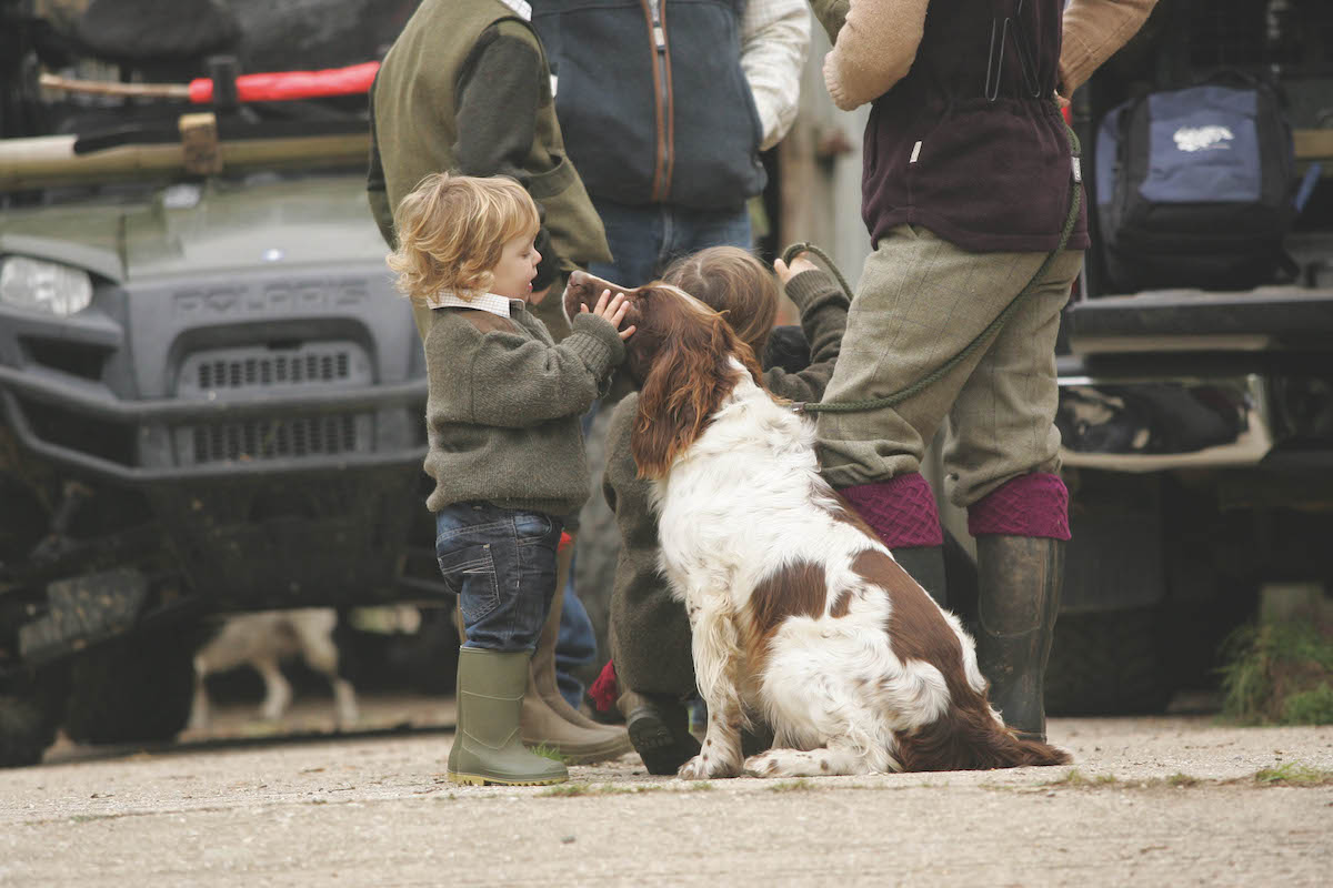 Spaniel with toddler dog manners 