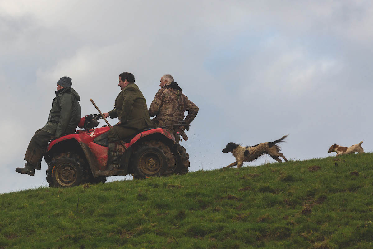 Dogs following quad bike 