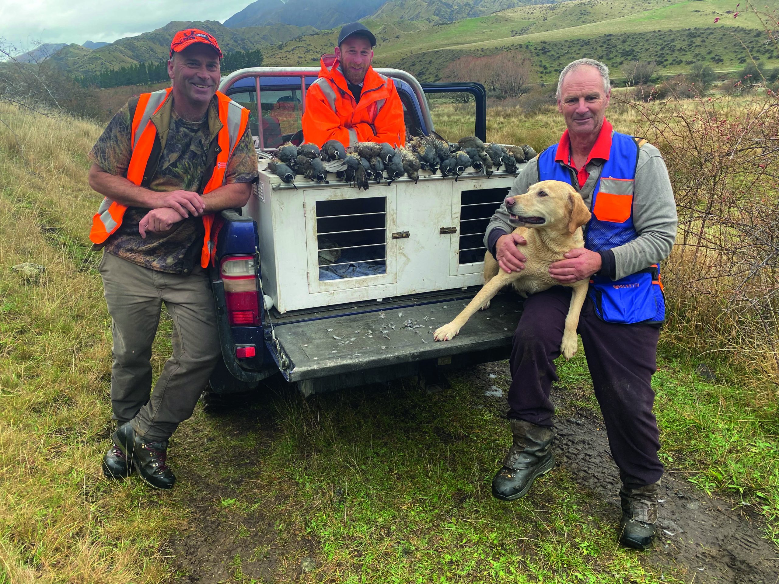 quail hunting